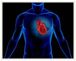 Slider image (4) PlacidWay India Medical Tourism